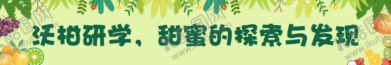编号：82052702210751295487【酷图网】源文件下载-沃柑研学横幅标语
