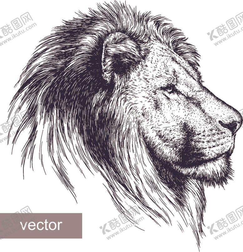 编号：94401910312051384479【酷图网】源文件下载-狮子Lion涂鸦动物