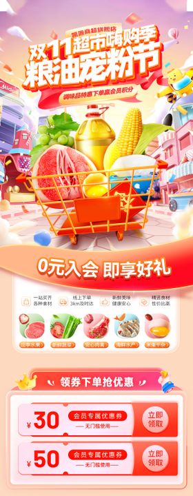 双11超市宠粉节嗨购季团购会电商首页