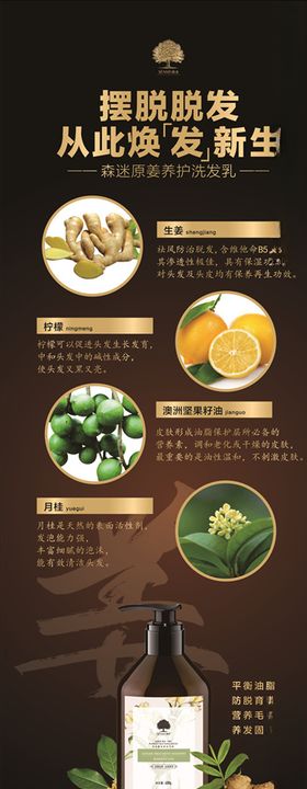 森迷展架