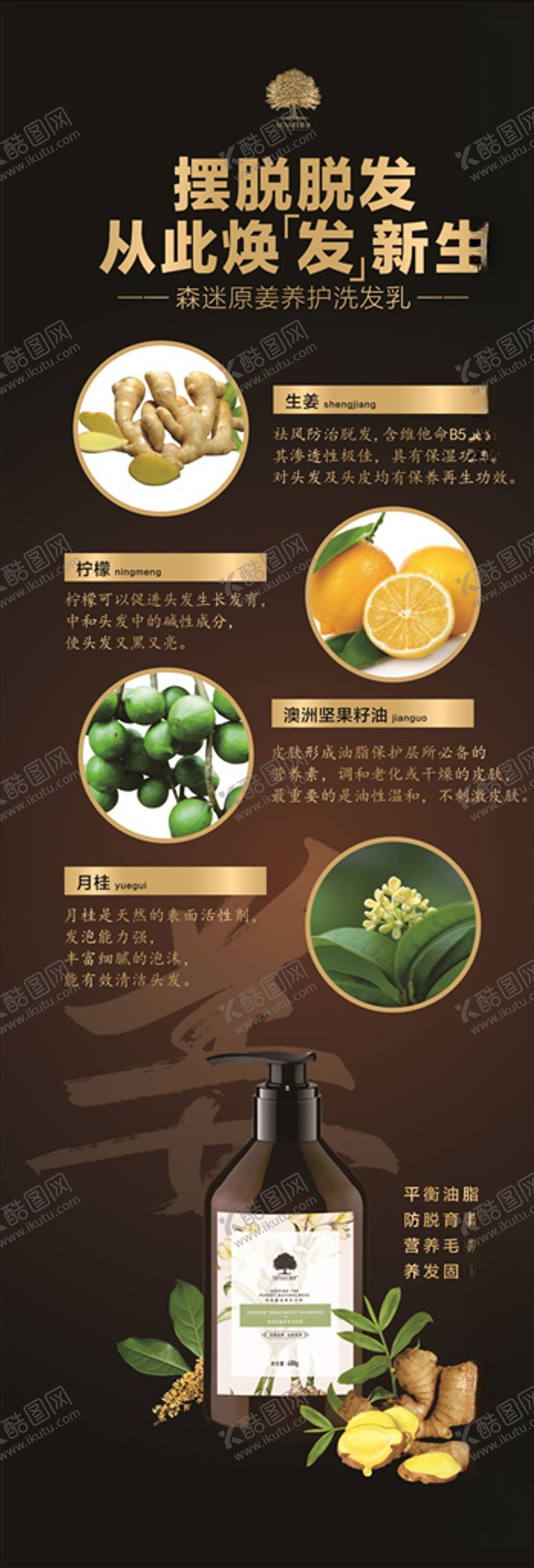 编号：22978310071321151337【酷图网】源文件下载-森迷展架