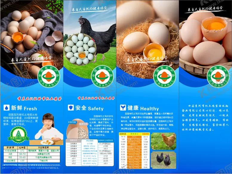 编号：38053606291843055546【酷图网】源文件下载-优质禽蛋产品宣传展示