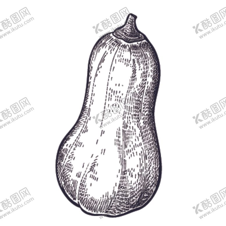 编号：61057110182301423058【酷图网】源文件下载-餐饮食物插画元素