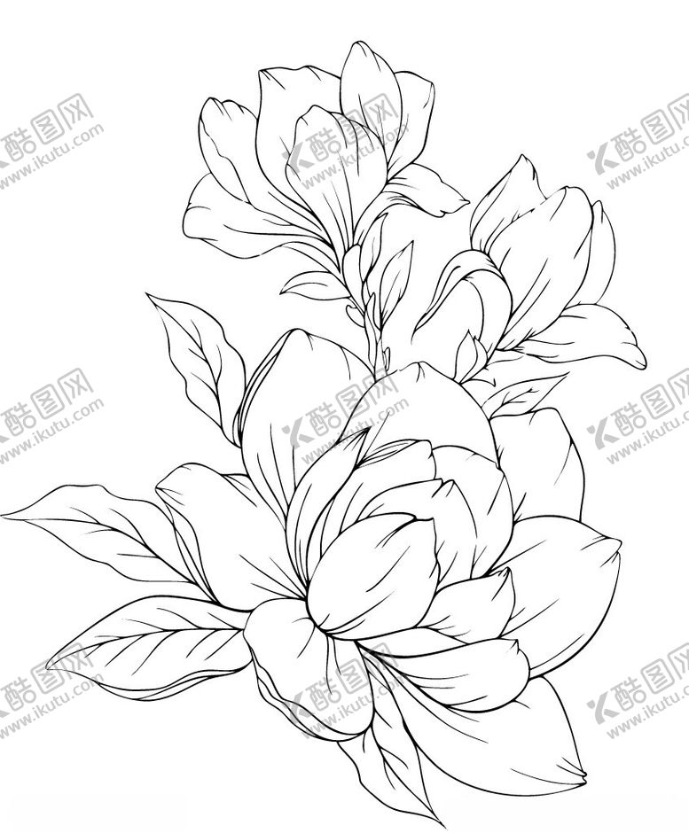 编号：35130202091033232293【酷图网】源文件下载-花朵描线图