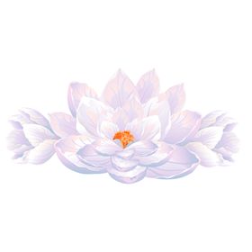 鲜花装饰