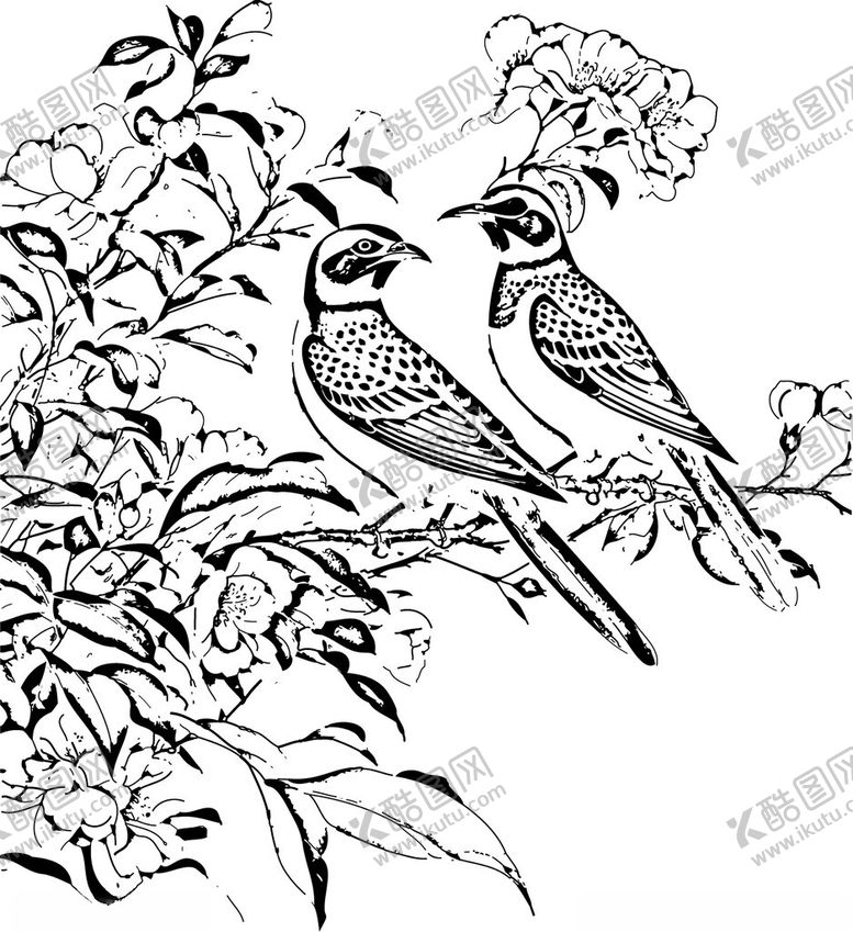 编号：67591704021308271863【酷图网】源文件下载-枝头双鸟图