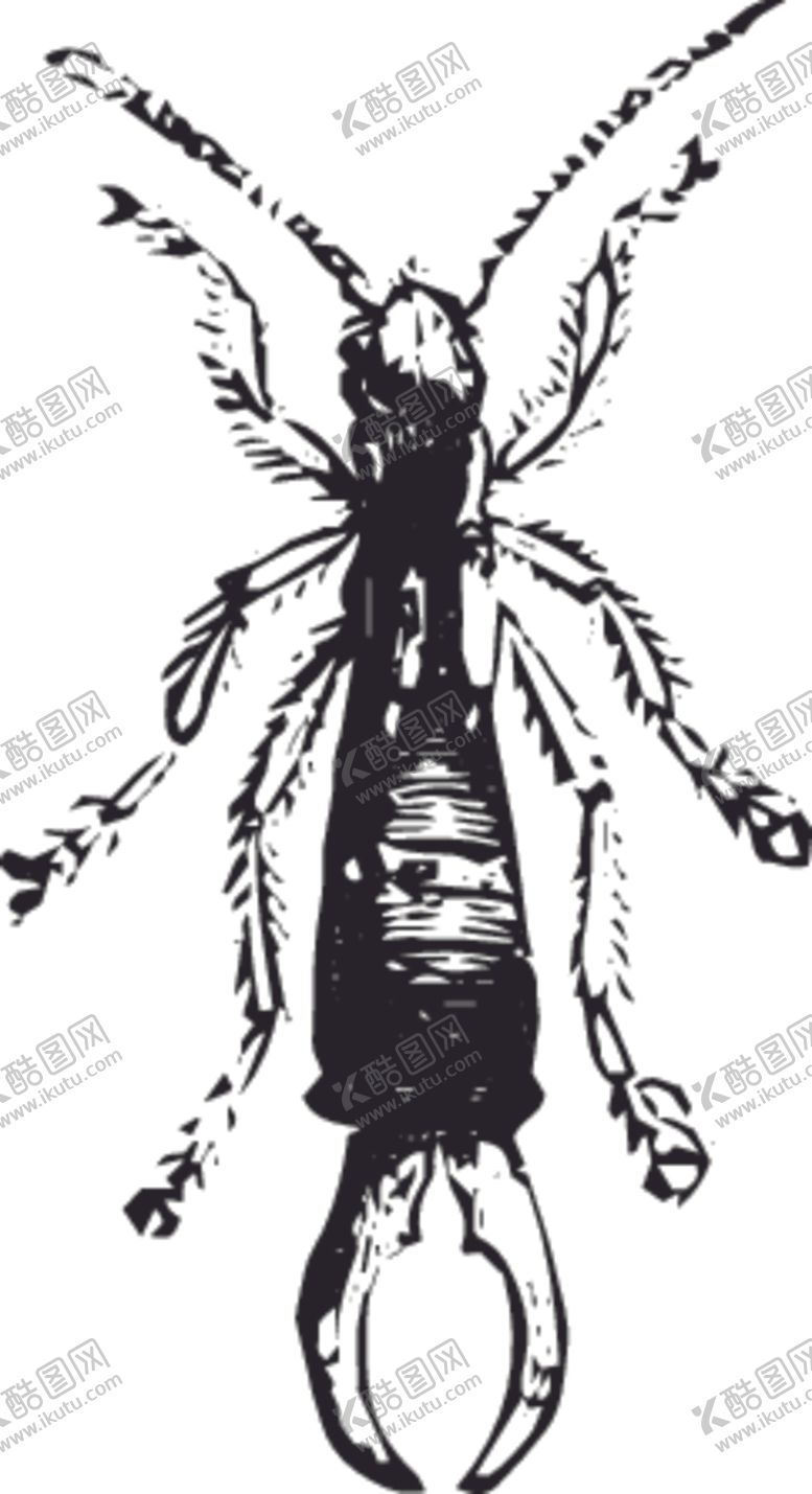 编号：56366910250521241961【酷图网】源文件下载-自然昆虫蝴蝶标本插画