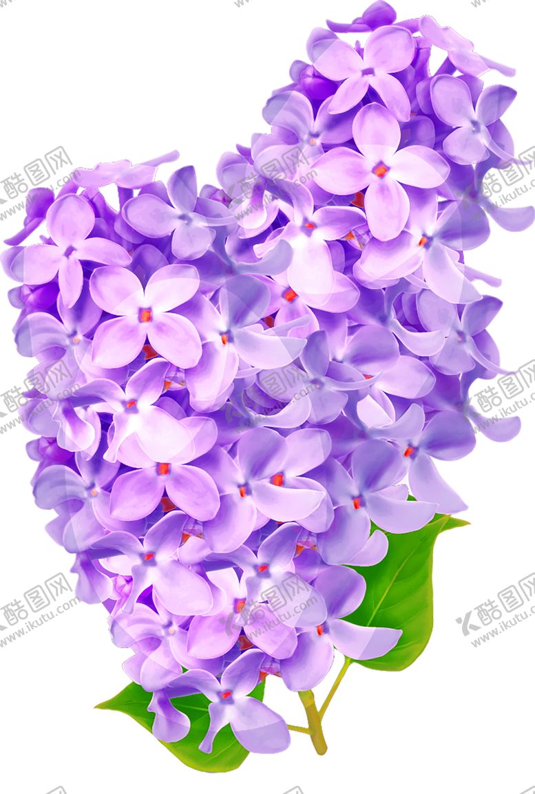 编号：68613110110752337752【酷图网】源文件下载-鲜花素材