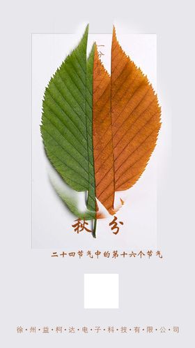 秋分二十四节气