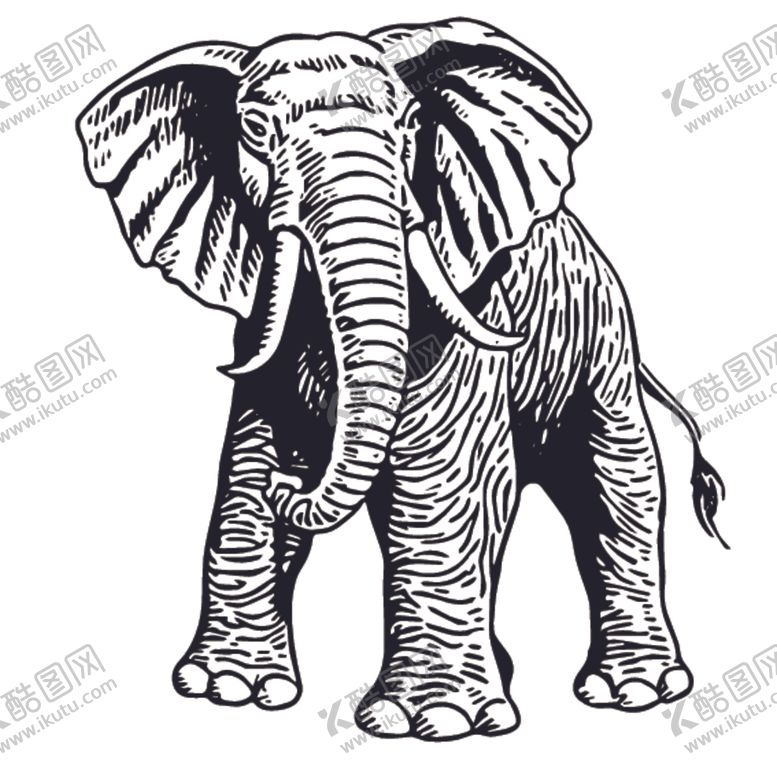 编号：17932310300920447025【酷图网】源文件下载-大象动物插画