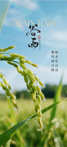 谷雨节气海报