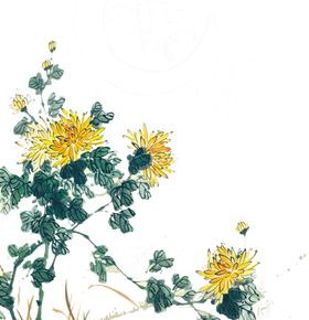 菊花装饰