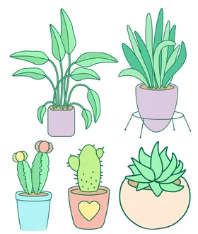 植物