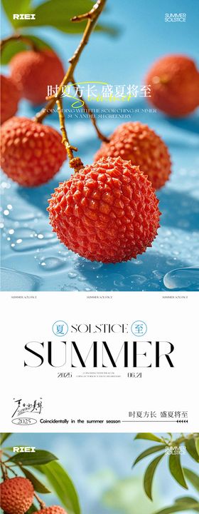夏至（荔枝）