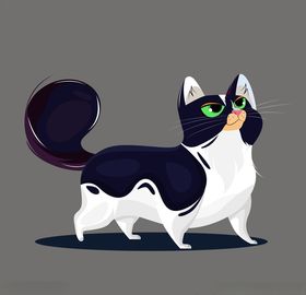 矢量猫