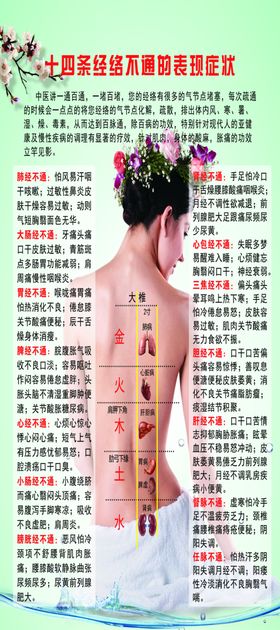 经络展架