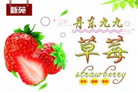 草莓红颜丹东九九不干胶