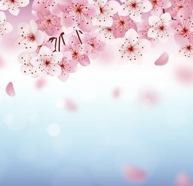 樱花壁纸AI矢量图AI设计素材