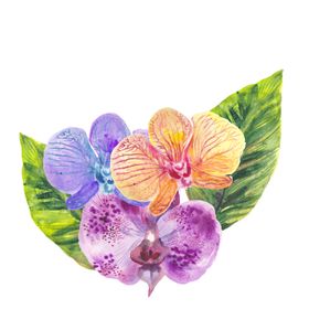 夏日热带水彩花朵