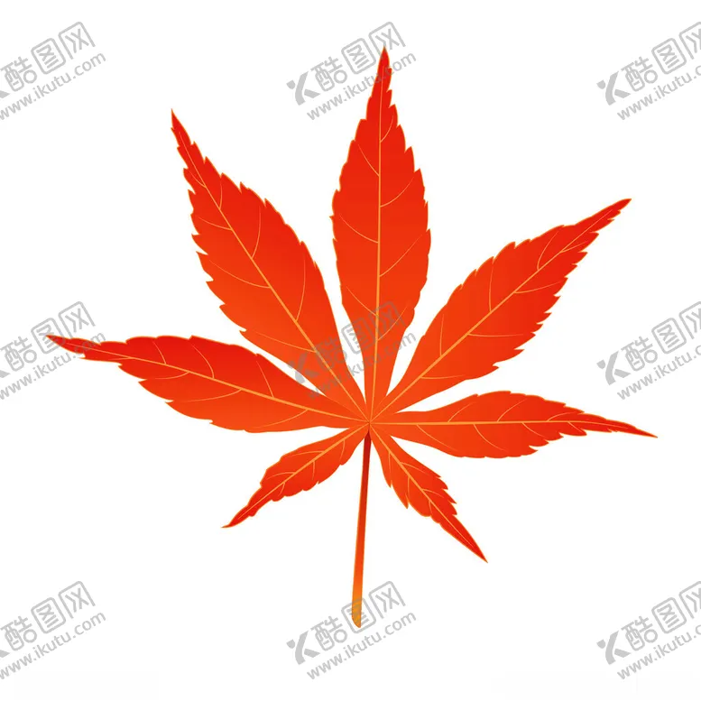 编号：15535502280443428675【酷图网】源文件下载-矢量枫叶