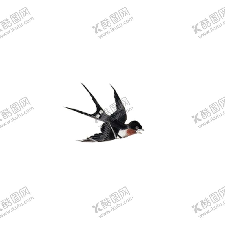 编号：28169510080125459527【酷图网】源文件下载-小燕子