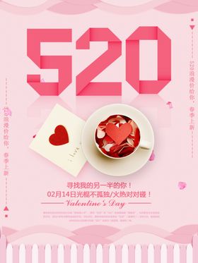 520表白