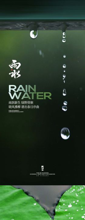 雨水节气系列海报