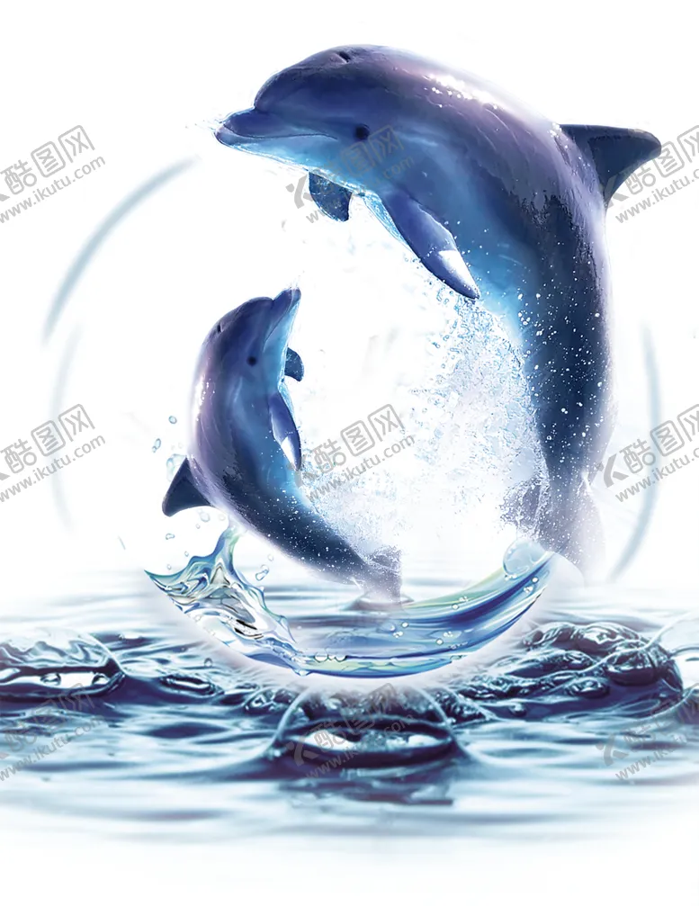 编号：28721406282304082374【酷图网】源文件下载-海豚