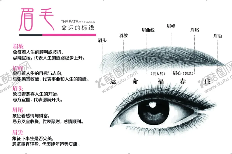 编号：15263406270233287127【酷图网】源文件下载-眉毛纹绣修眉