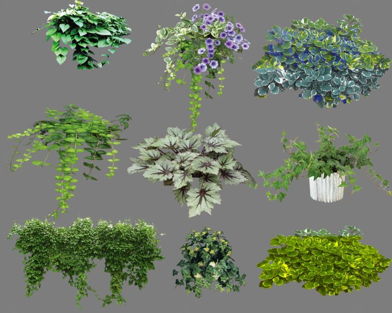 编号：47102809270852497089【酷图网】源文件下载-绿色盆栽素材