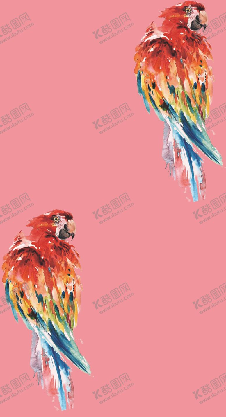 编号：35313211192030347727【酷图网】源文件下载-鹦鹉