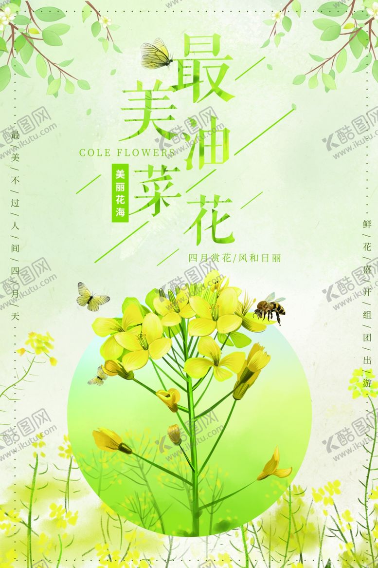 编号：47000509221525138159【酷图网】源文件下载-油菜花
