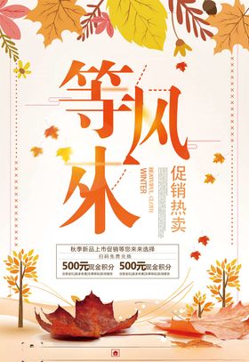 等风来