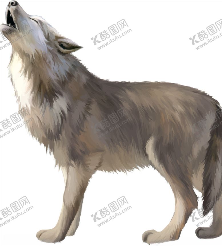编号：13165706182022479153【酷图网】源文件下载-卡通狼