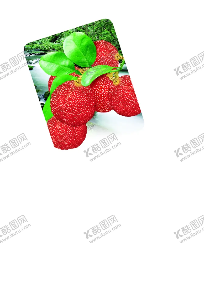 编号：26248504250345518576【酷图网】源文件下载-杨梅