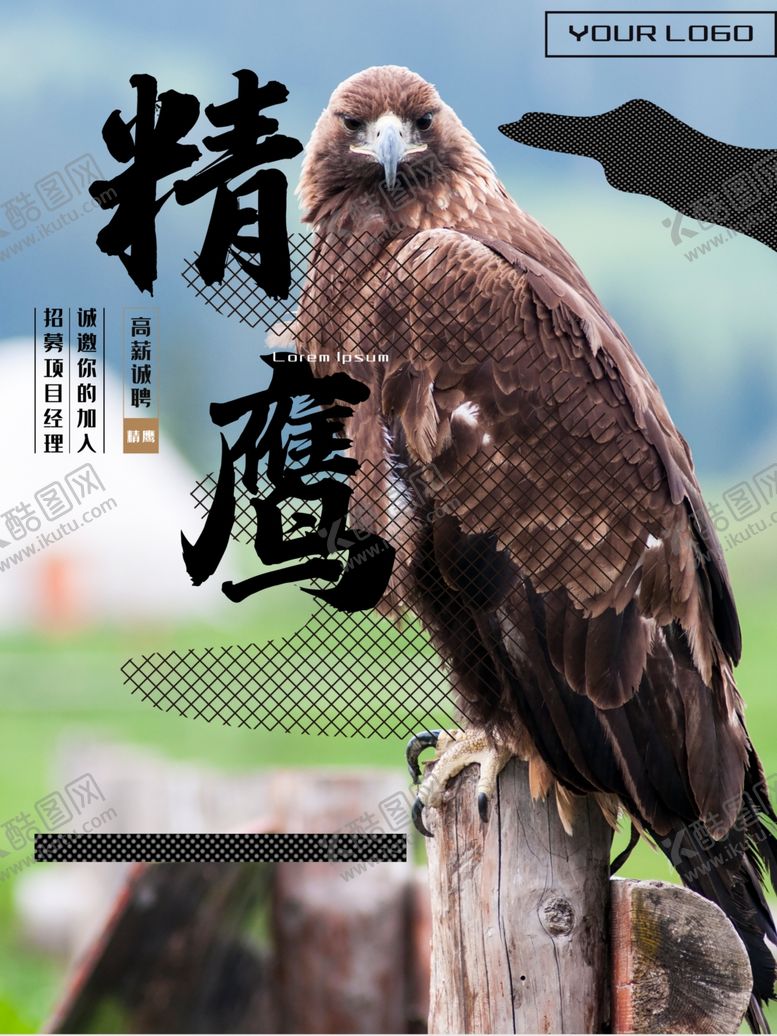 编号：75484001260710414318【酷图网】源文件下载-精鹰