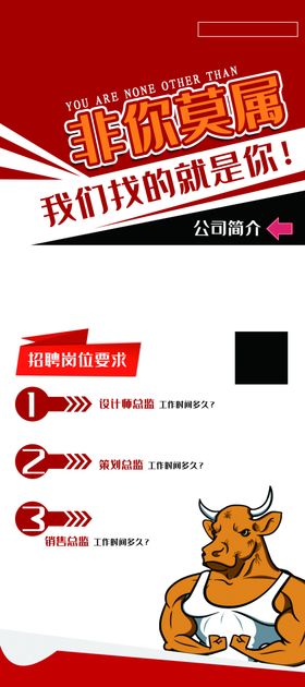 非你莫属