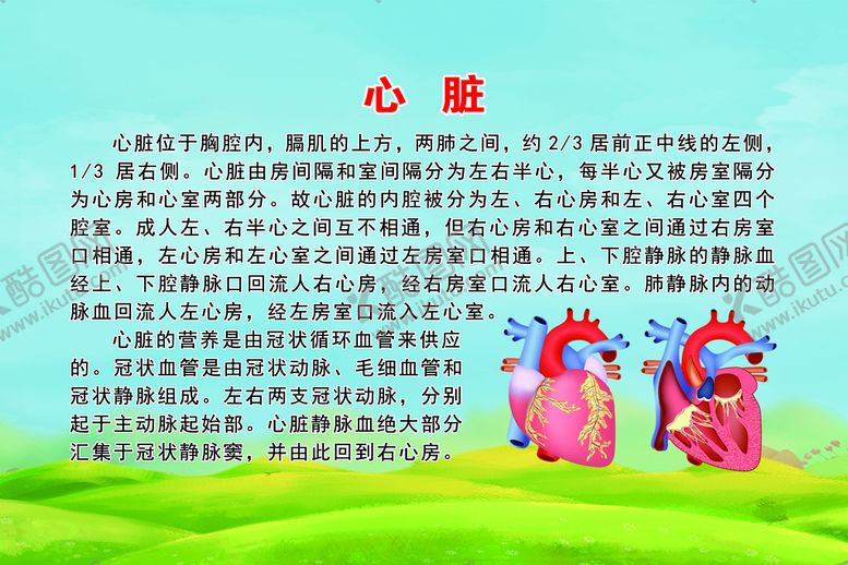 编号：69513009190212551873【酷图网】源文件下载-心脏