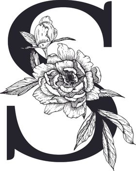 花卉装饰字母字母S