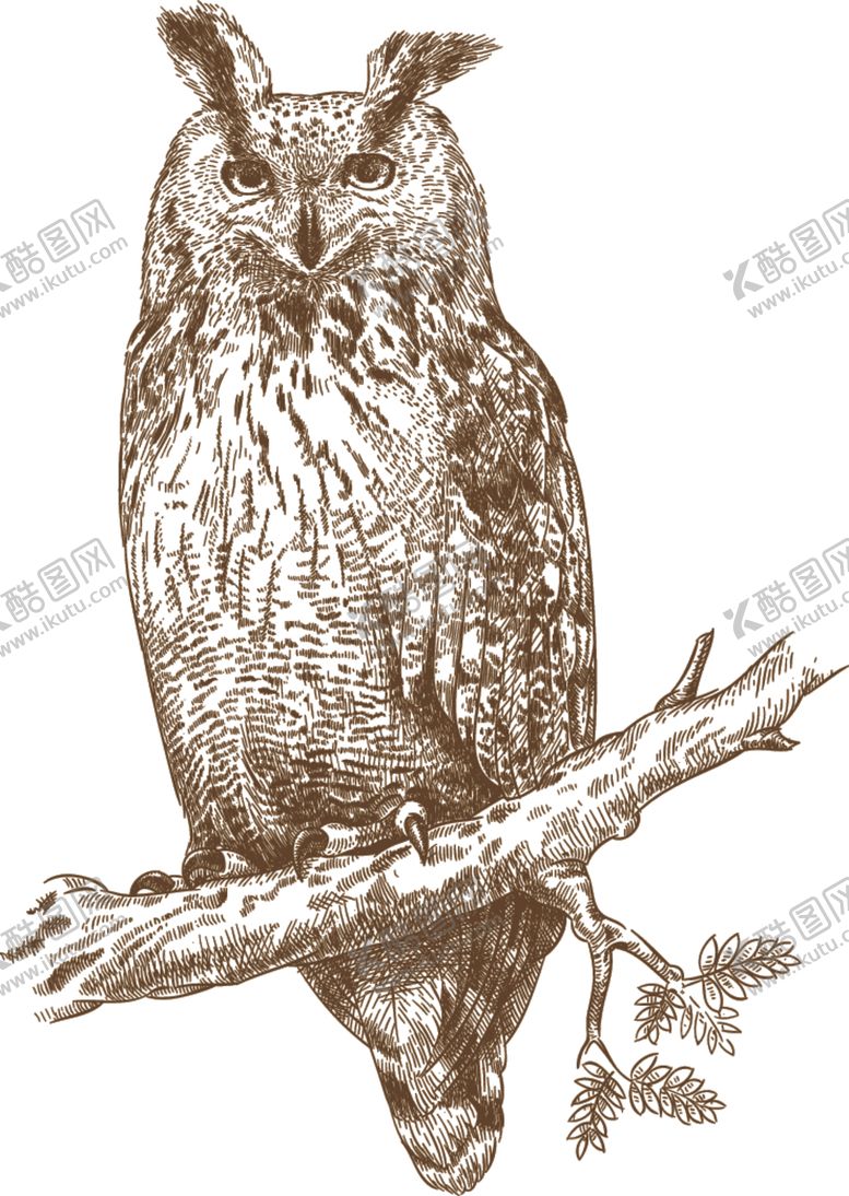 编号：47032409262124246323【酷图网】源文件下载-鸟类素描