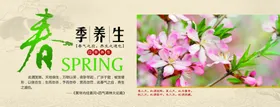 四季养生