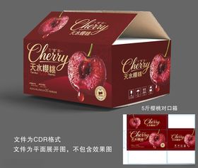 樱桃礼盒包装包装箱