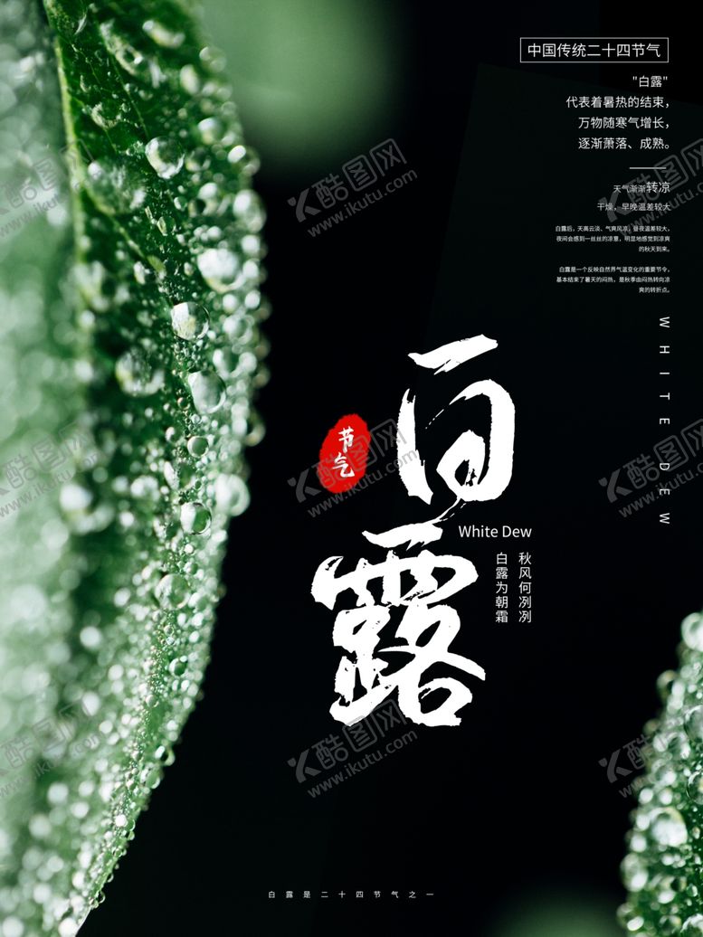 编号：27265509241112515163【酷图网】源文件下载-白露海报