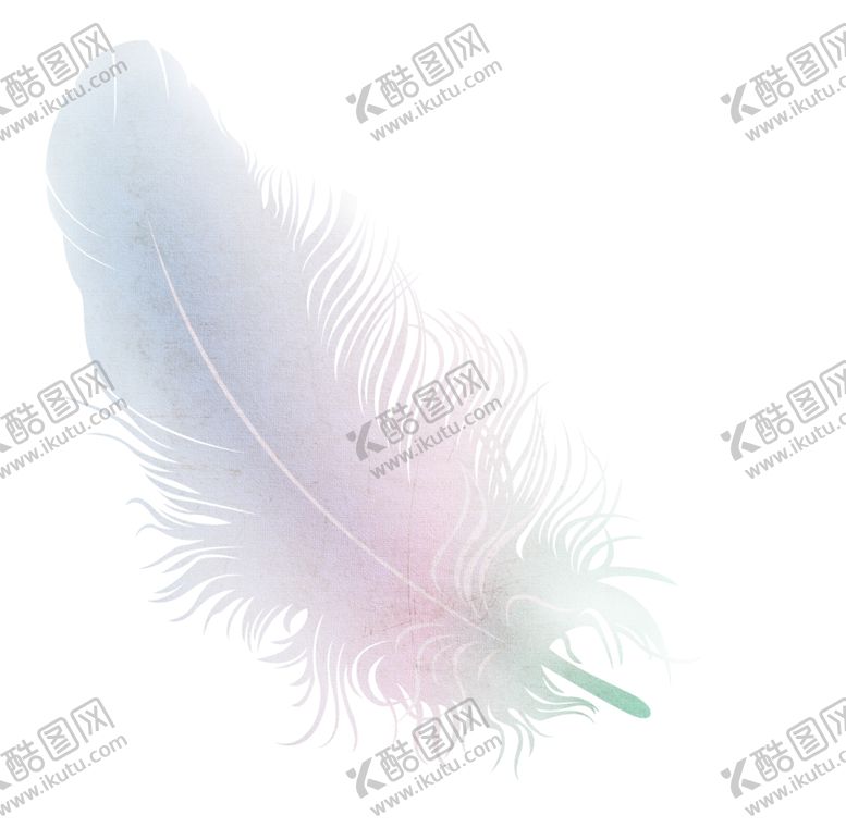 编号：34407810071329358740【酷图网】源文件下载-羽毛