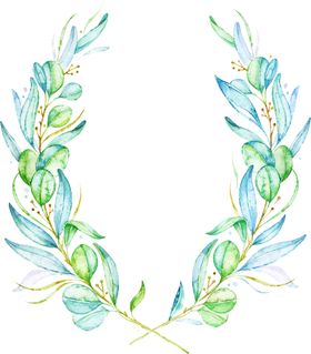 花边素材