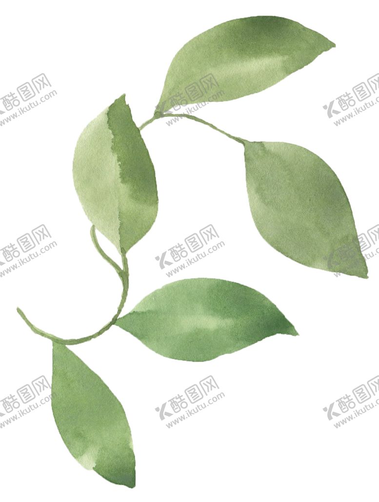 编号：35748805090138024526【酷图网】源文件下载-手绘植物花卉