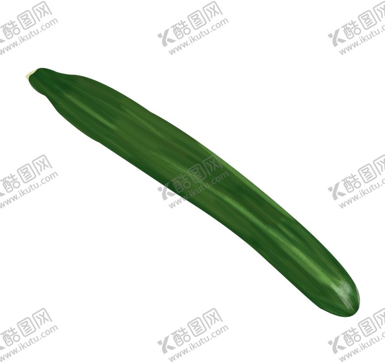 编号：23242004080956217031【酷图网】源文件下载-手绘黄瓜插画