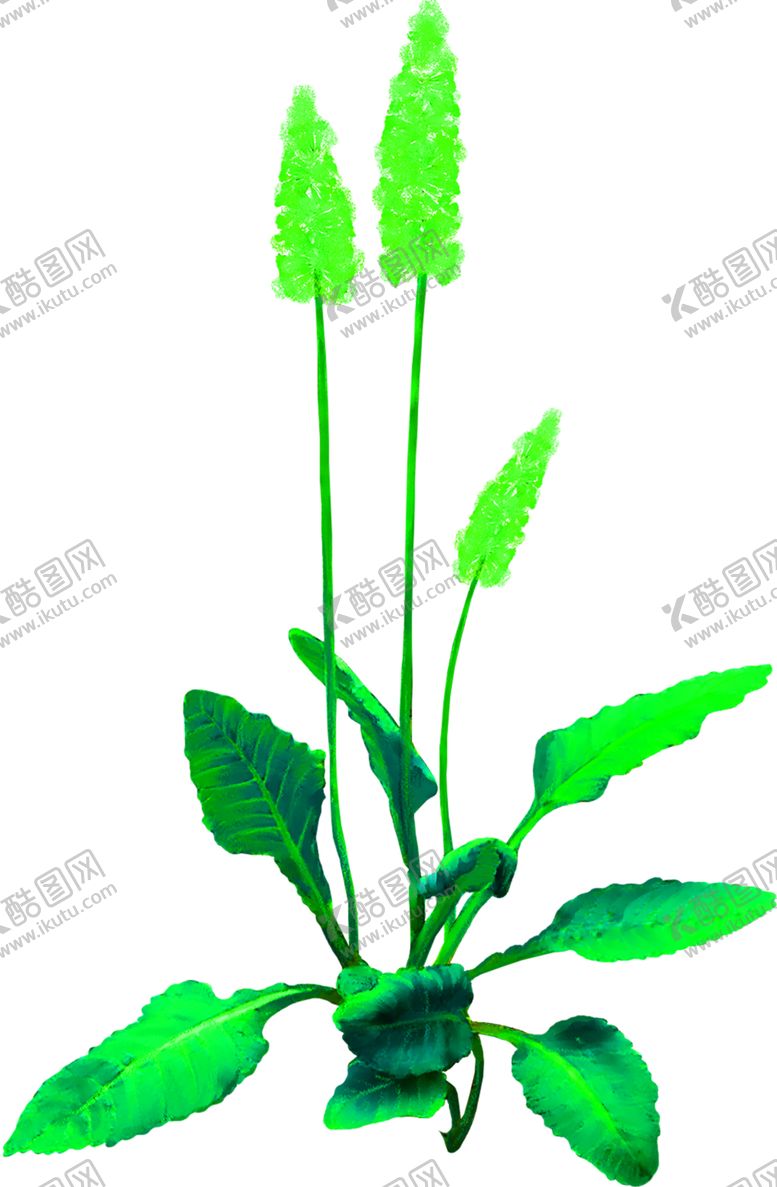 编号：88761710090941589204【酷图网】源文件下载-花素材