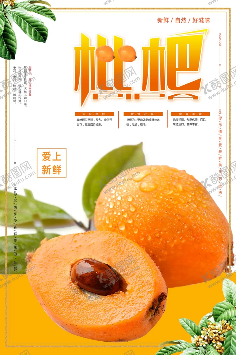 编号：46836706301028071802【酷图网】源文件下载-新鲜枇杷海报设计