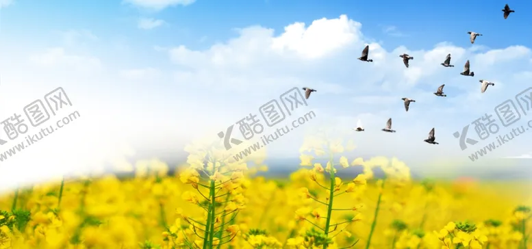 编号：49269006291123175029【酷图网】源文件下载-banner背景